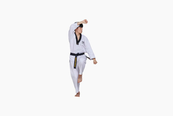 품새 금강 사진