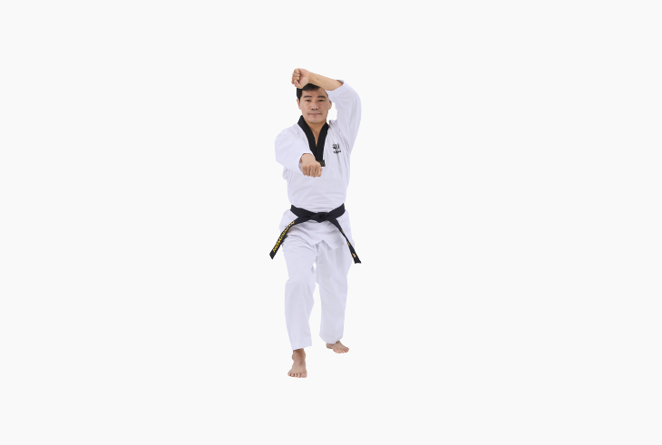 품새 지태 사진