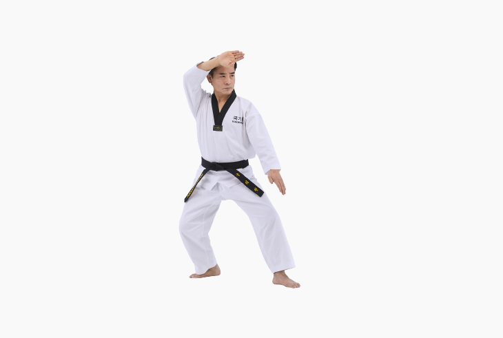 품새 한수 사진